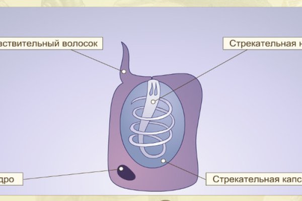 Кракен 16