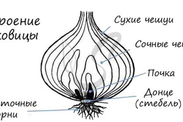 Kraken это современный маркетплейс