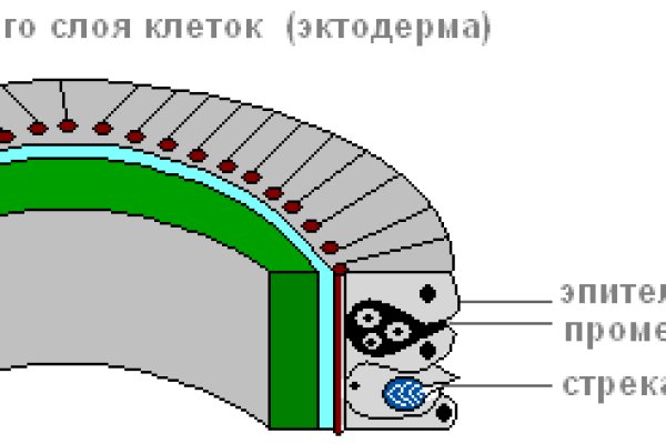 Кракен даркнет ссылка для тор