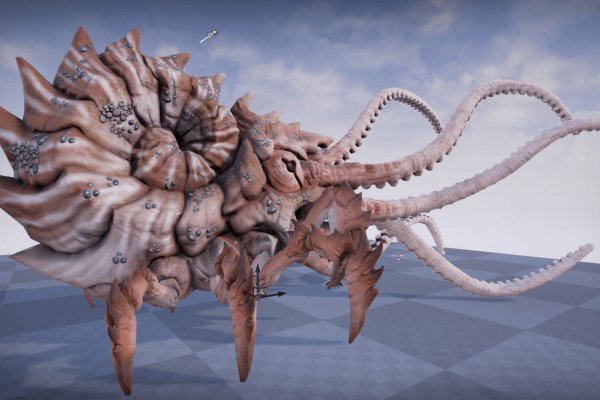 Kraken вход kraken torion