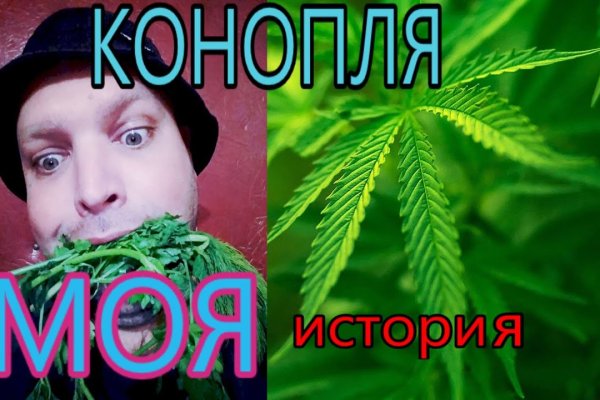Ссылки мега кракен