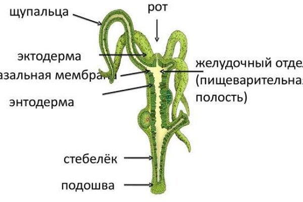 Кракен даркнет тг